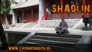 Hoofdafbeelding Shaolin Kungfu Brummen